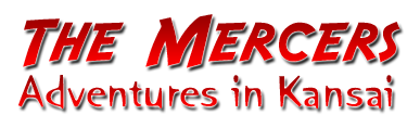 The Mercers Logo
